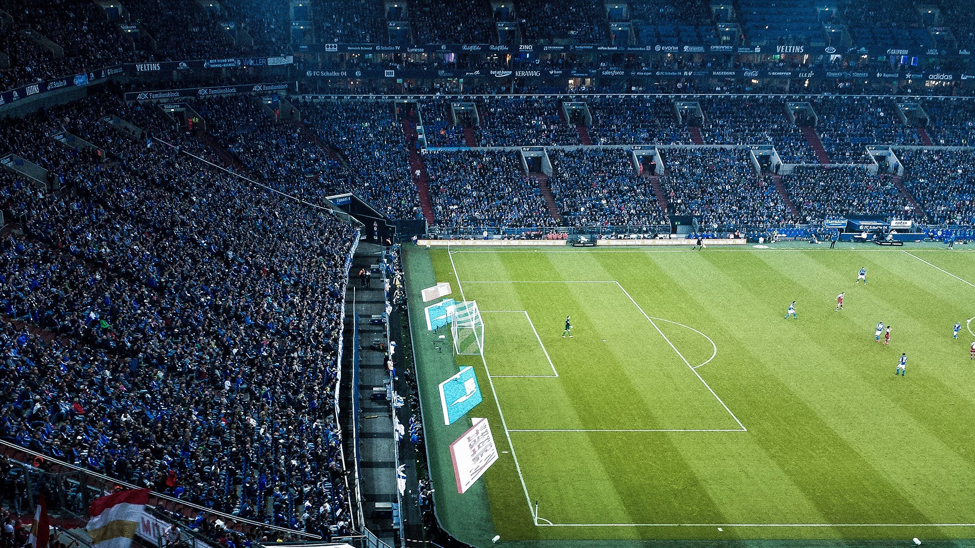 仰泳赛道摩纳哥选手节奏精准，摩纳哥泳池